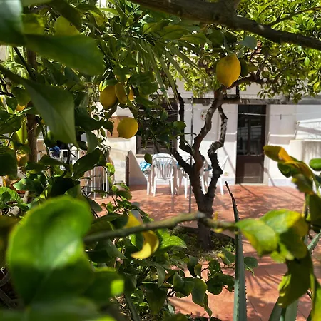 Appartamento Casa Ciccio San Vito Lo Capo Esterno foto