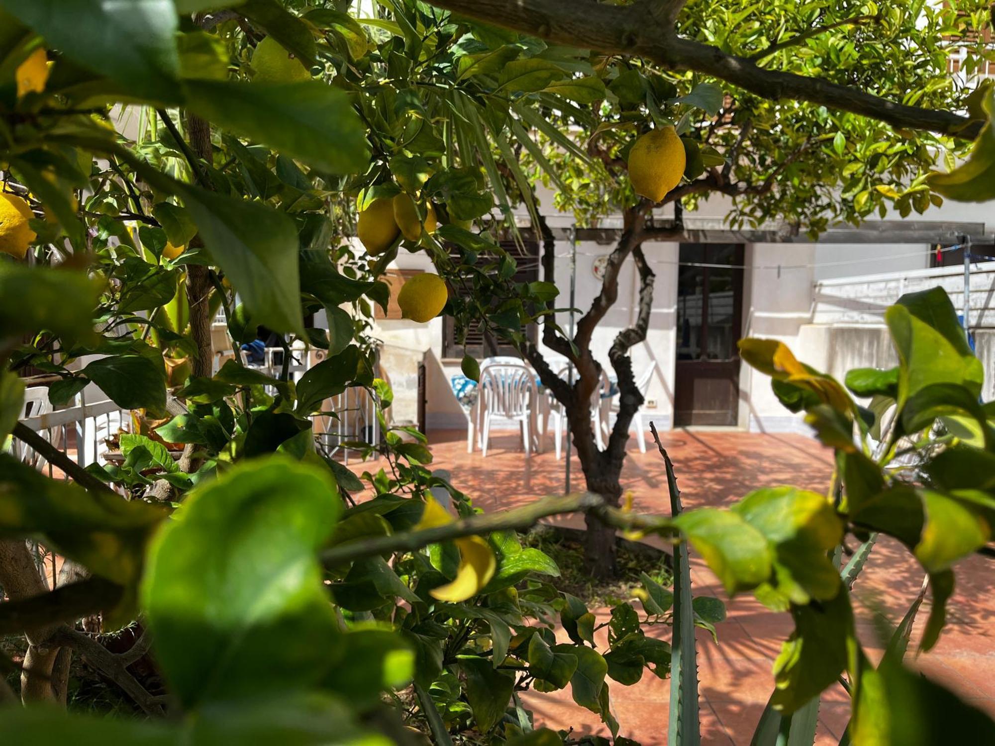 Casa Ciccio